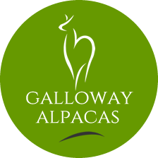 Galloway Alpacas Logo